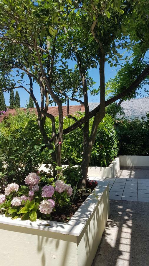 Apartman Lucija Korčula Exterior foto